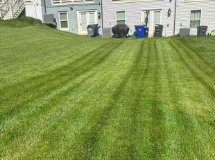 Jeanine E.'s Lawn Care service result