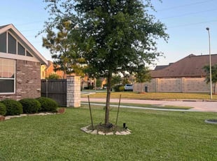 Yanni R.'s Lawn Care service result