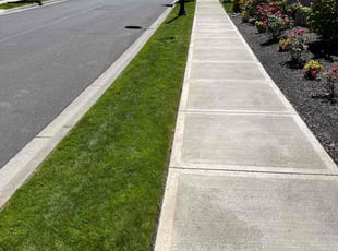 Heather B.'s Lawn Mowing service result