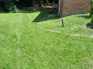 Kliff B.'s Grass Cutting service result