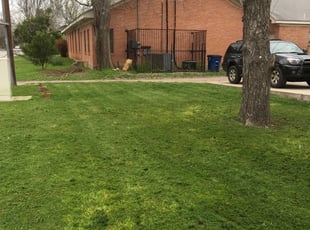 Cleanups by Michael Schriner for Samy A. in Austin, TX
