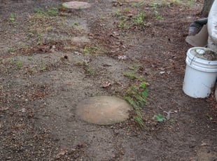 Leaf Removal by Xavier Allen for Brenda R. in Virginia Beach, VA