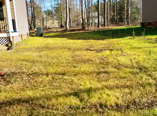 Leaf Removal by Chris Thomas for Teshia L. in Chesterfield, VA