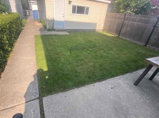 Sherrie W.'s Lawn Mowing Service service result