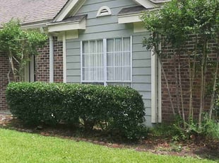 Kenneth D.'s Yard Cutting service result