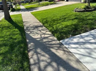 Mary G.'s Lawn Care service result