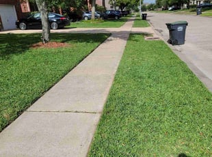 Tom H.'s Grass Cutting service result