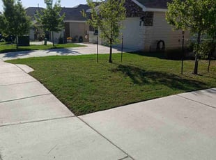 Melinda A.'s Lawn Service service result