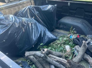 Cleanups by Dante Pressley for Katherine M. in Frisco, TX