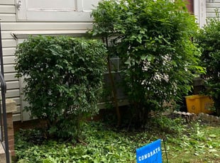 Bush Trimming by Neal S for LaNitra F. in Centreville, VA
