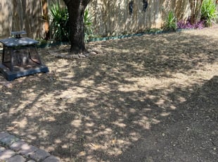Leaf Removal by Gerardo Navarrete for Ellen D. in San Antonio, TX