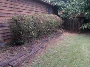 Weeding by Antavious Douglas for Juanita C. in Riverdale, GA