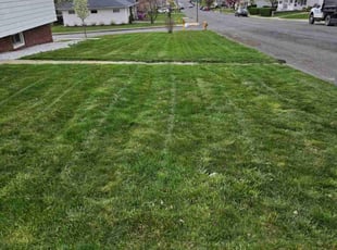 Stephen s.'s Lawn Mowing service result