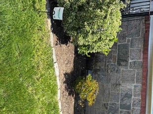 Weeding by Nicholas Harvey for Denice C. in Uniondale, NY