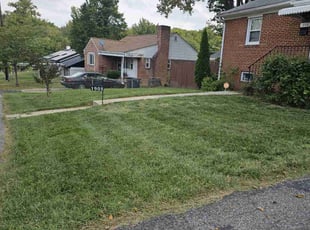 Cathleen G.'s Lawn Service service result