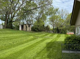 Kirt B.'s Lawn Care service result