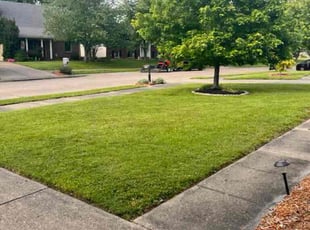 Melody C.'s Lawn Mowing Service service result