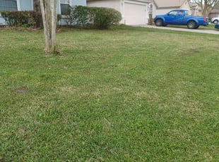 Bush Trimming by Brandon Madden for Stephanie H. in Jacksonville, FL