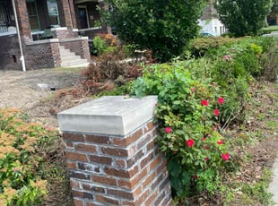 Bush Trimming by Gabreial Lloyd for Makone T. in Detroit, MI