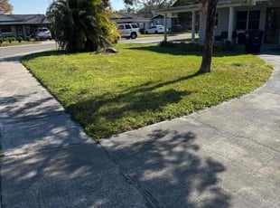 Paulina S.'s Lawn Mowing Service service result