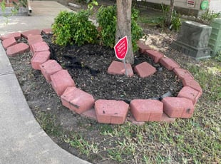 Weeding by Rene Contreras for Charles D. in Houston, TX