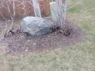 Leaf Removal by Christina Wallum for Shanti G. in Minneapolis, MN
