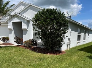 Bush Trimming by Martin Byington for Evette H. in Orlando, FL