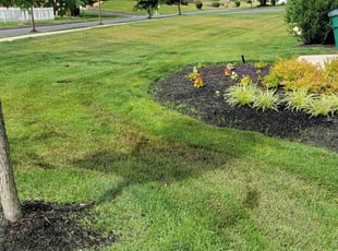 Mark B.'s Lawn Mowing Service service result