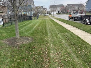 Amy R.'s Lawn Mowing service result