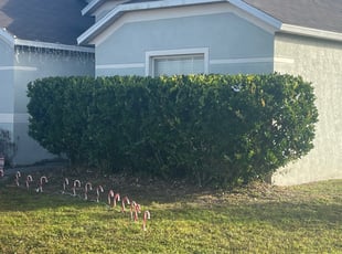 Bush Trimming by Jeff Osbeck for Katie W. in Kissimmee, FL