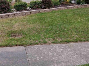 Leaf Removal by Jose Murcia for Rene L. in Woodbridge, VA
