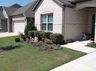 Bush Trimming by Daniel Sloan for Keila G. in Celina, TX