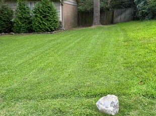 Jason V.'s Lawn Mowing service result