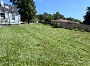 Kim E.'s Lawn Mowing service result