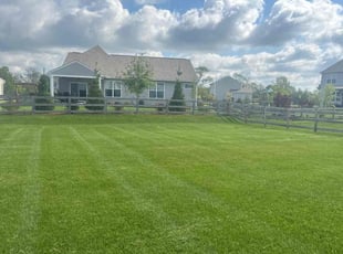 Anton R.'s Lawn Maintenance service result