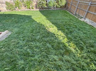Cathy F.'s Lawn Mowing Service service result
