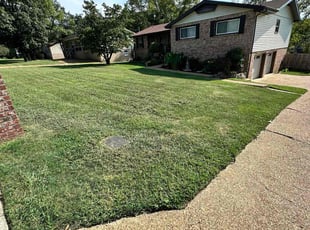 Andrew N.'s Lawn Care service result