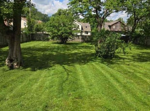 Daneen W.'s Lawn Maintenance service result