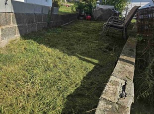 Courtney D.'s Lawn Mowing service result