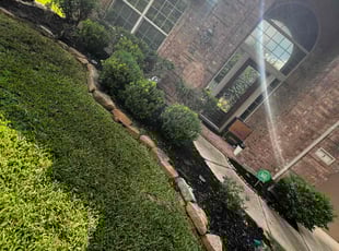 Weeding by Tyler Bancroft for CHENG M. in Spring, TX