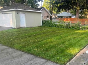 Greg M.'s Lawn Mowing service result