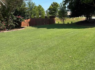 DAUMONIC M.'s Lawn Maintenance service result