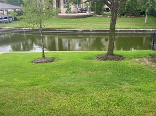 Jean H.'s Yard Cutting service result
