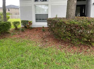 Bush Trimming by Catherine Thomas for Cindy N. in Land O' Lakes, FL