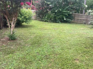 Sujeeta D.'s Lawn Care service result