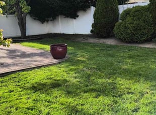 Leaf Removal by Yesenia Machado for Keturah S. in Massapequa, NY