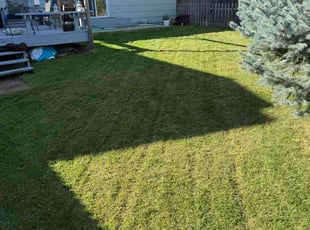 Steven W.'s Yard Cutting service result