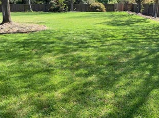 Cindy S.'s Lawn Service service result