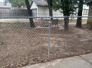 Cleanups by Jason Mince for Austin T. in Lewisville, TX