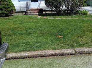 Shwanda T.'s Lawn Maintenance service result